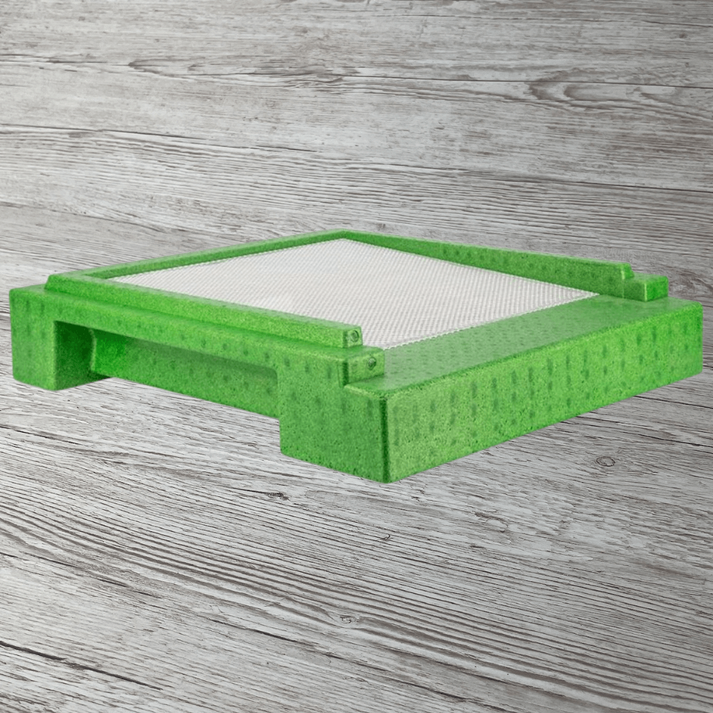 Segeberger EPP Flachboden, grün