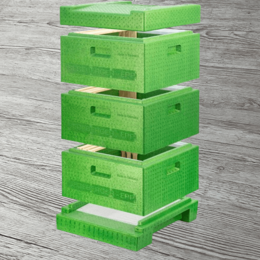 Segeberger Beute EPP Beute komplett mit Flachboden und Deckel, grün