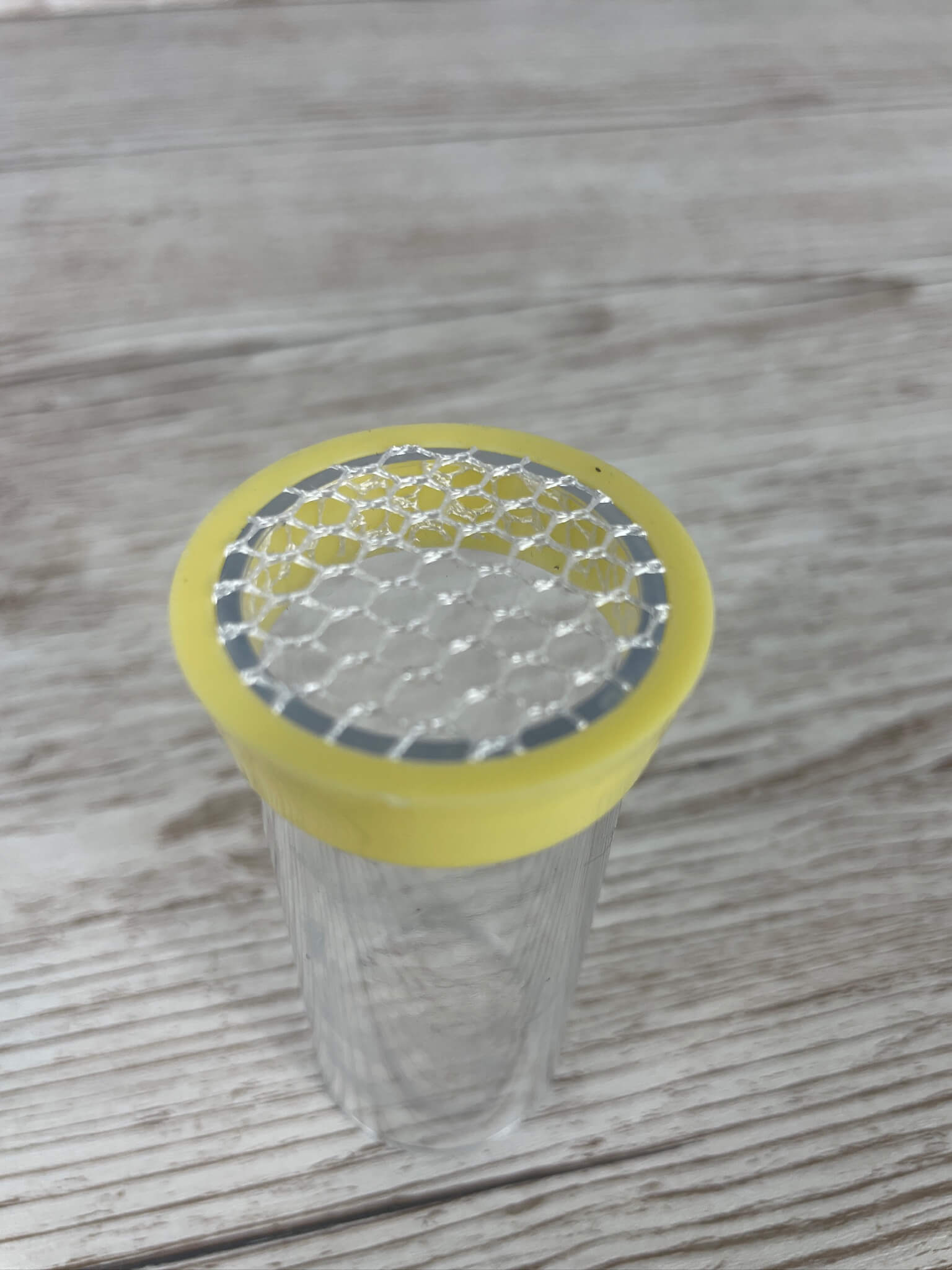 Nahaufnahme des elastischen Gitternetzes auf dem Imgut Königinnen-Zeichenrohr zur präzisen Kennzeichnung des Thorax.
