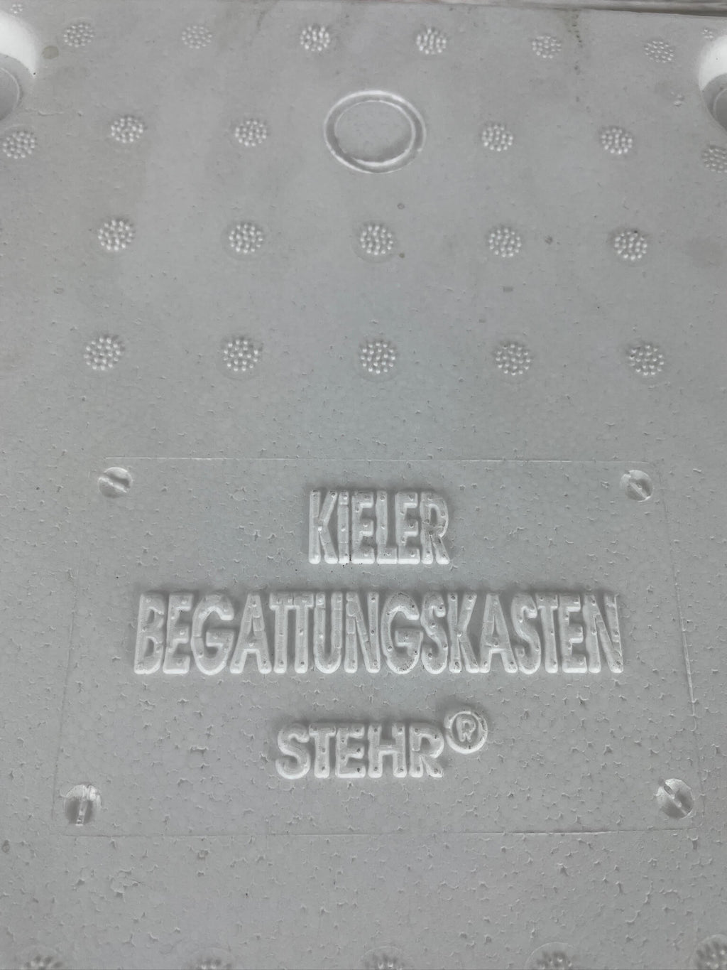 Detailaufnahme des Styropor-Deckels mit der eingeprägten Schriftbezeichnung Kieler Begattungskasten Stehr.